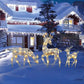 🦌 50% DE RÉDUCTION! 🎄 Rennes de Noël LED – Avec nœuds & déco intérieur/extérieur ✨
